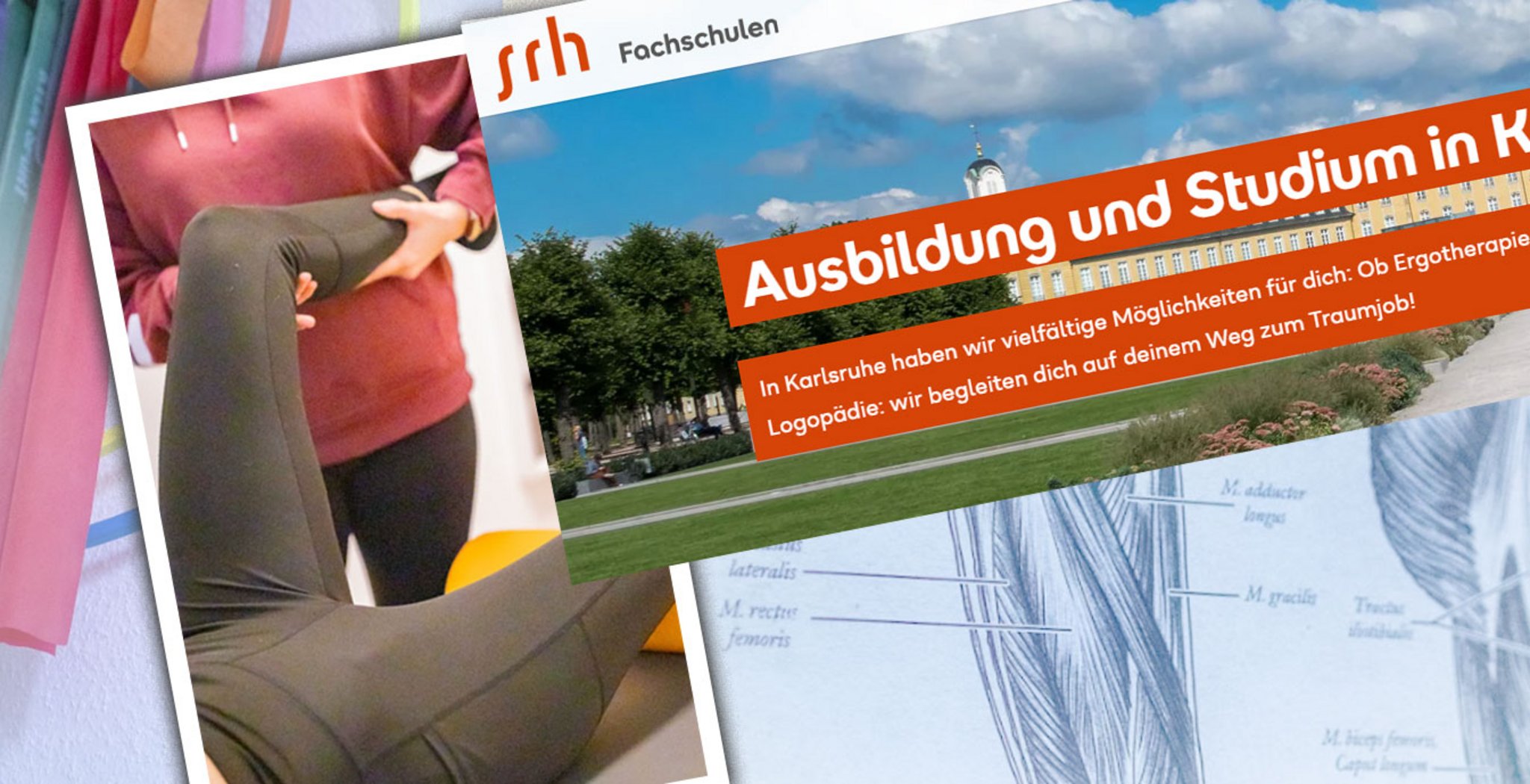 Bildcollage zur Kooperation mit den SRH Fachschulen Karlsruhe: Patientin bei einer Dehnübung mit Therapieband, Werbebanner „Ausbildung und Studium in Karlsruhe" und eine anatomische Muskel-Illustration.