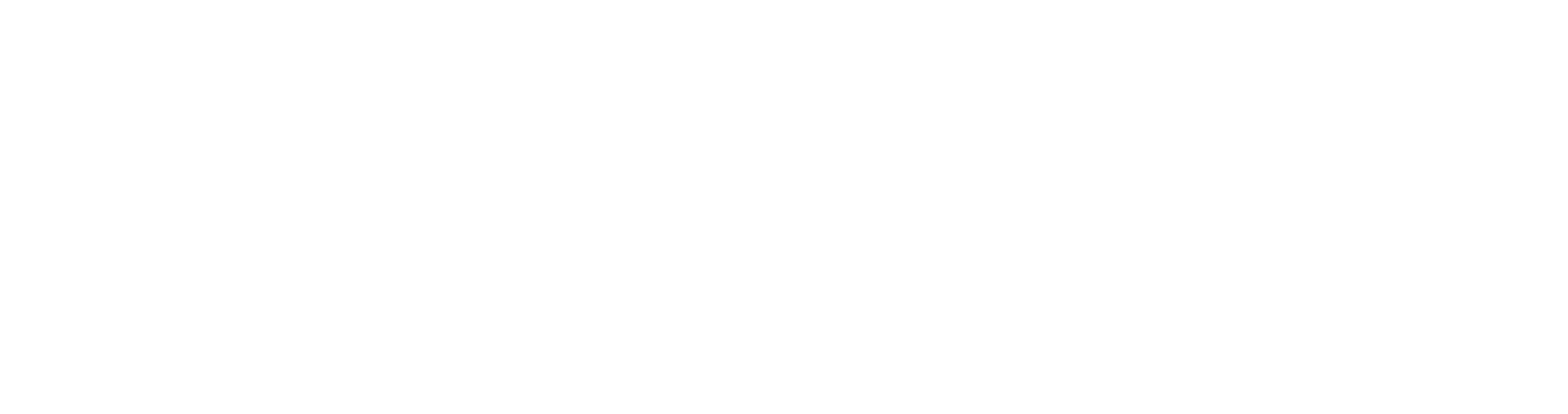 Mitglied im 1894-Netzwerk des Karlsruher SC